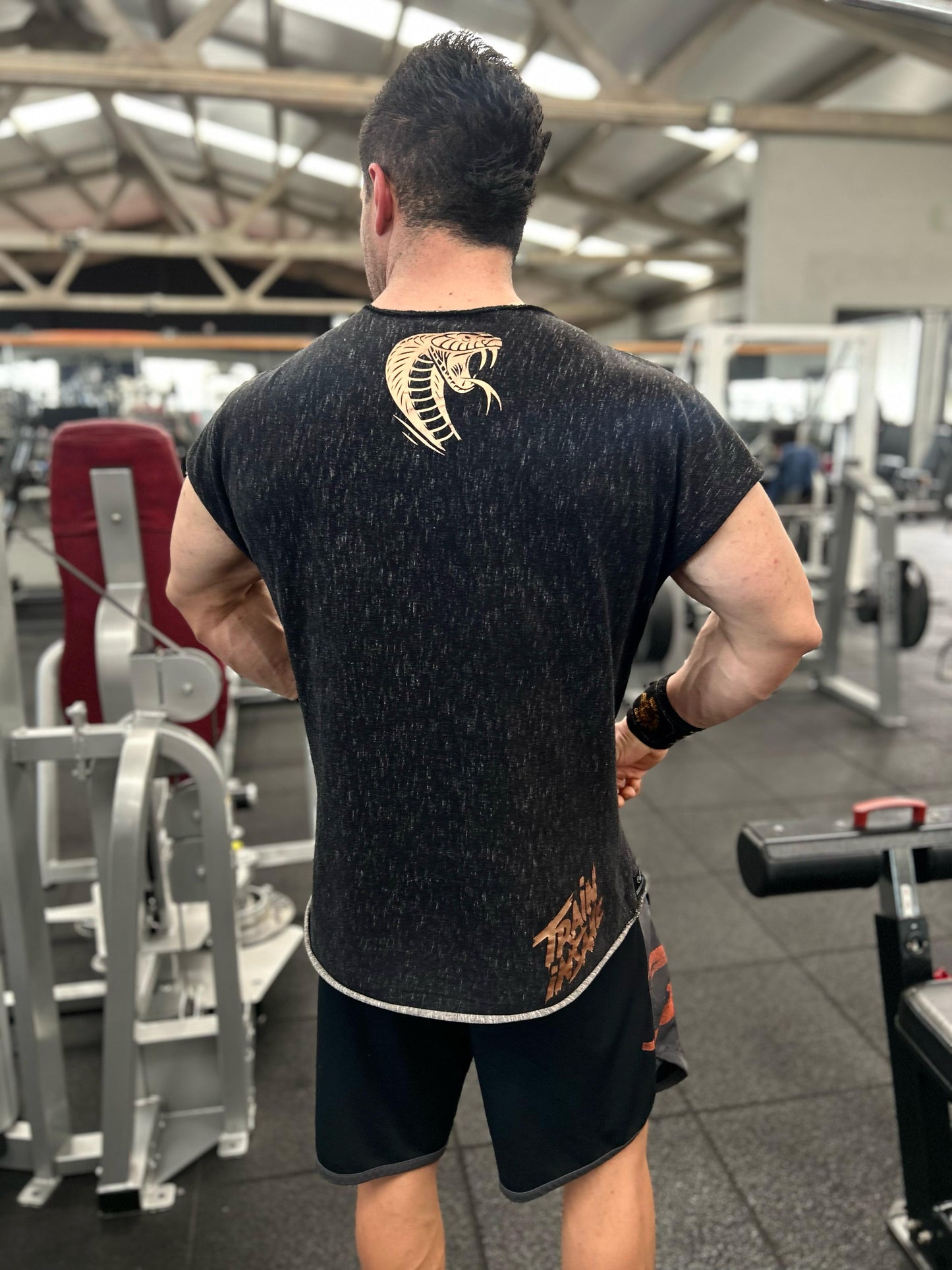 Workout Vibor-a (Personalizável)
