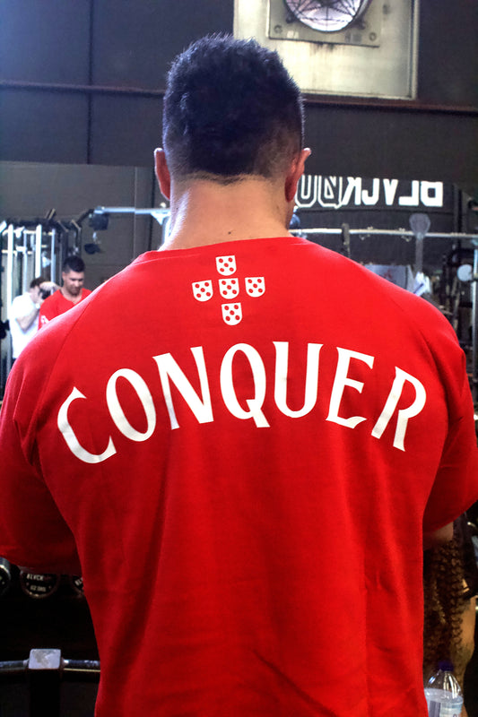 Oversized Manga Reglan