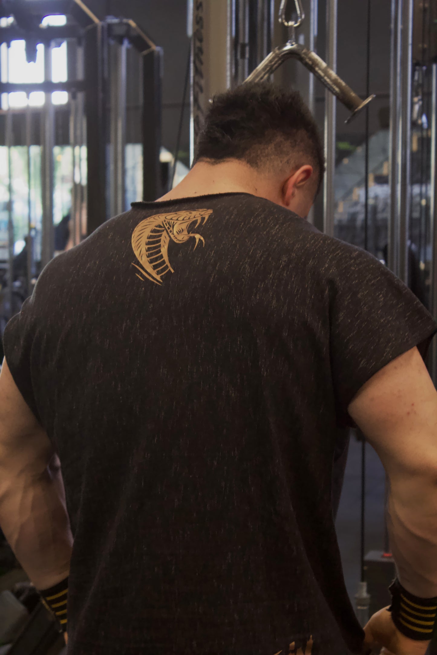 Workout Vibor-a (Personalizável)